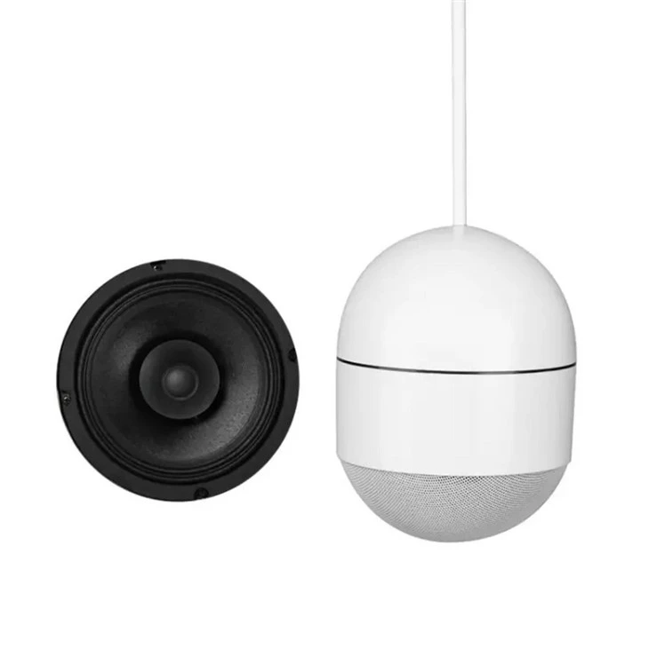 Oval Ball Speaker